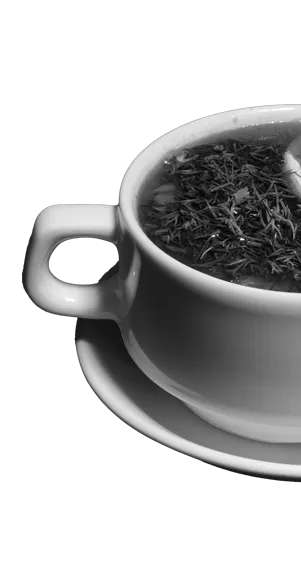 Fokhagyma krémleves